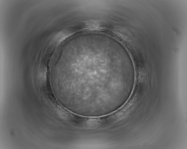 X0000111451161200907271224