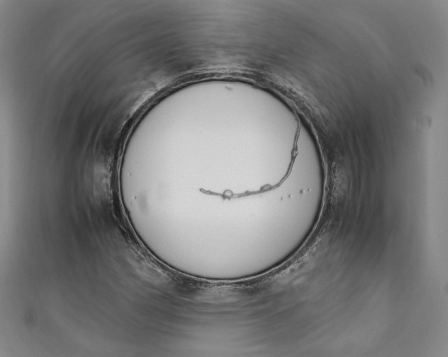 X0000111451162200907271224