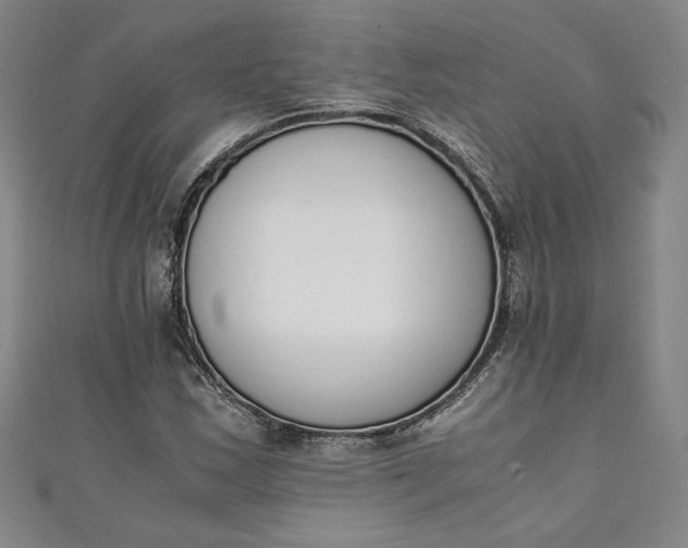 X0000111451163200907271224