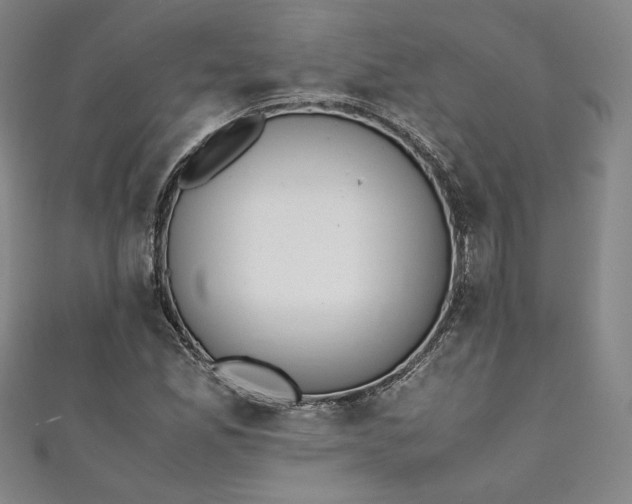 X0000111451165200907271224