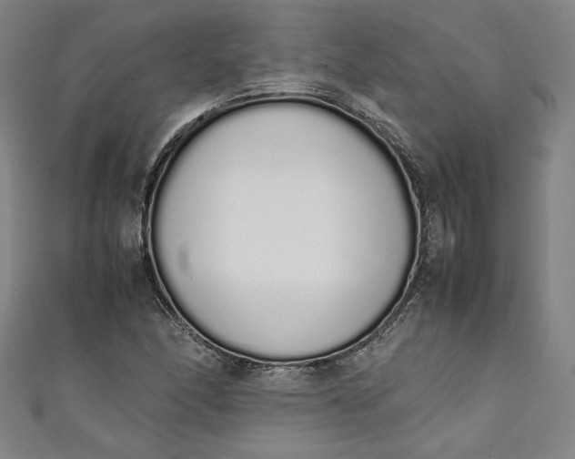 X0000111451166200907271224