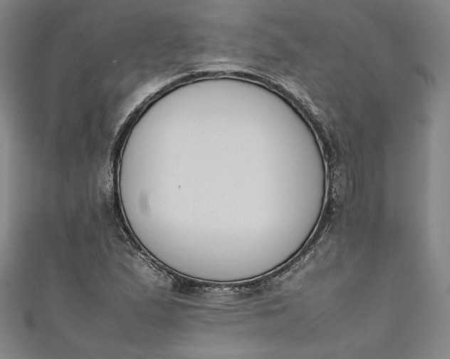 X0000111451167200907271224