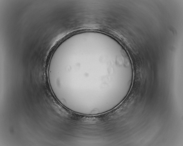 X0000111451168200907271224