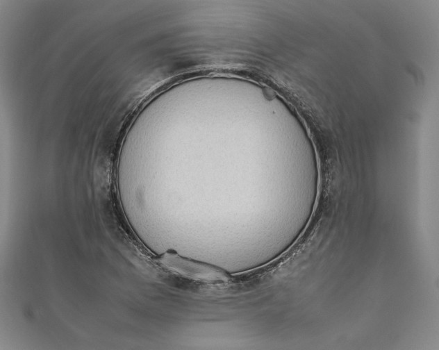 X0000111451169200907271224