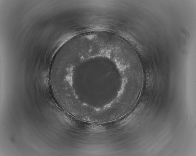 X0000111451170200907271224