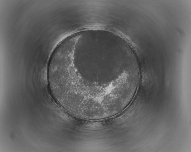 X0000111451174200907271224