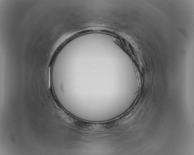 X0000111451175200907271224