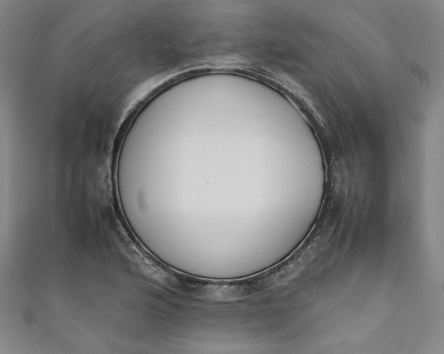 X0000111451176200907271224