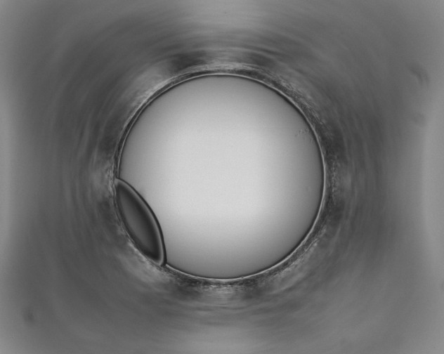 X0000111451177200907271224