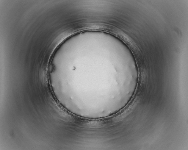 X0000111451178200907271224