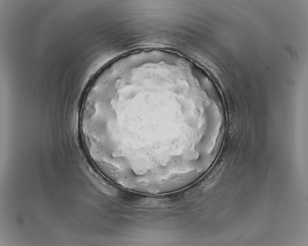 X0000111451179200907271224