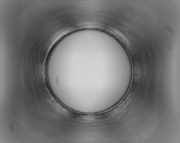 X0000111451182200907271224