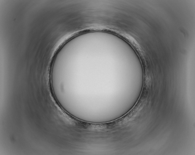 X0000111451183200907271224