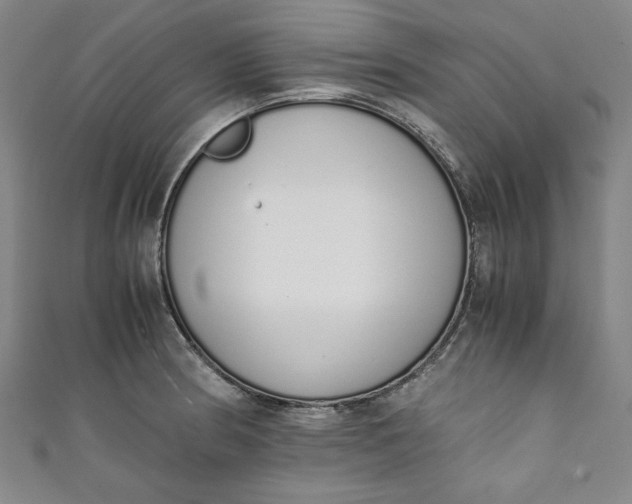 X0000111451186200907271224