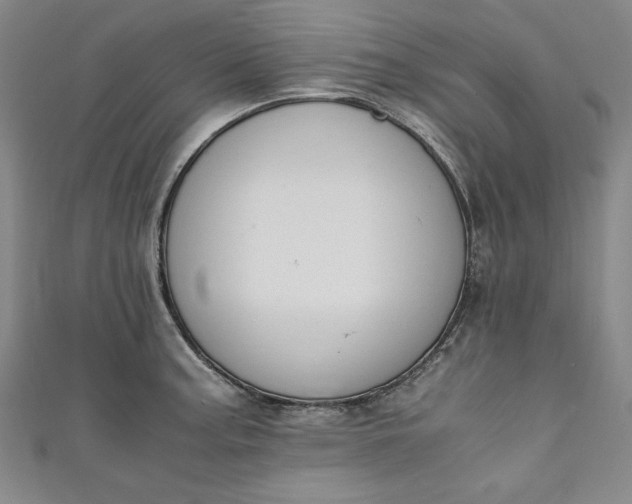 X0000111451187200907271224