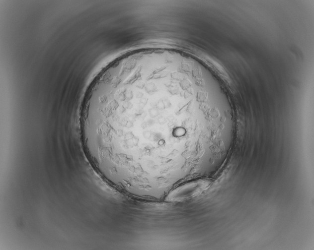 X0000111451192200907271224