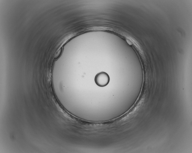 X0000111451193200907271224