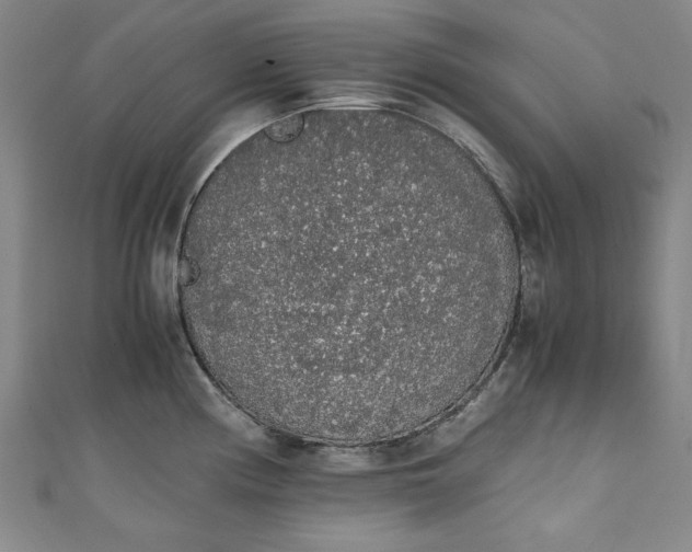 X0000111451194200907271224