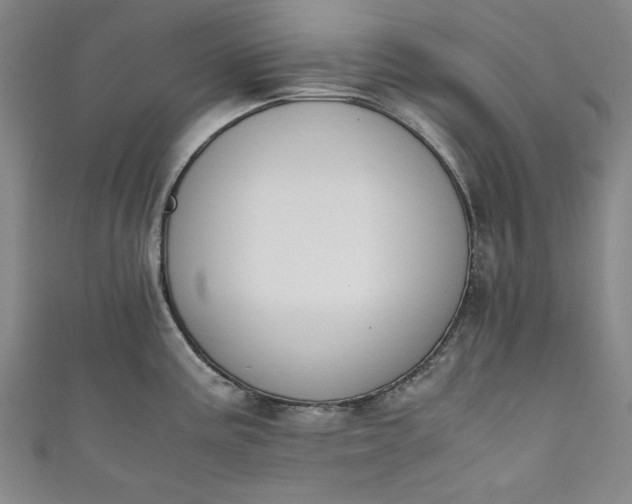 X0000111451195200907271224