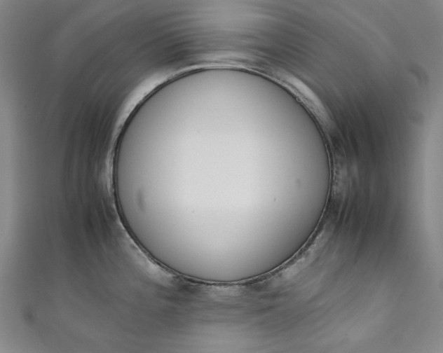 X0000111451196200907271224