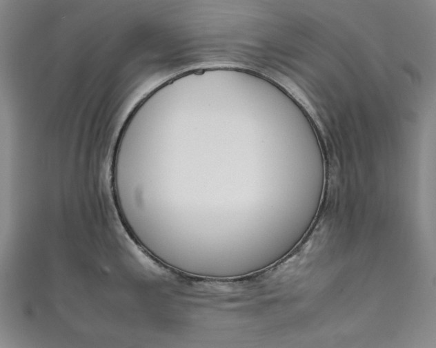 X0000111451197200907271224