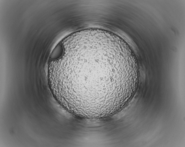 X0000111451198200907271224