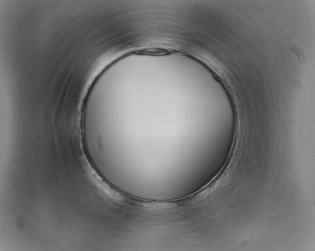 X0000111451200200907271224