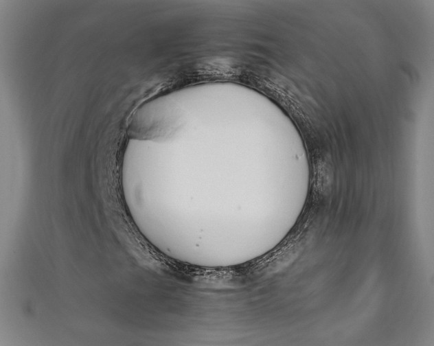 X0000111451201200907271223