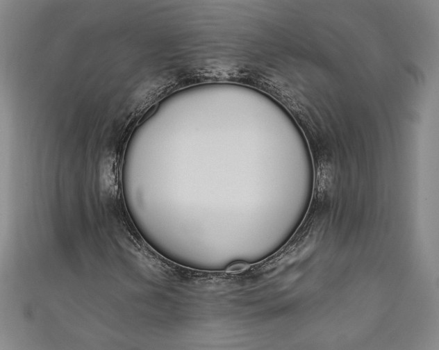 X0000111451202200907271223