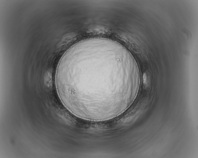 X0000111451203200907271223