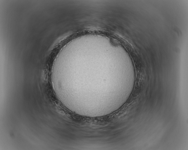 X0000111451207200907271223