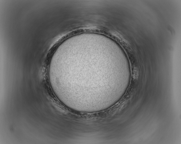 X0000111451208200907271223
