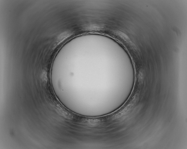 X0000111451209200907271223
