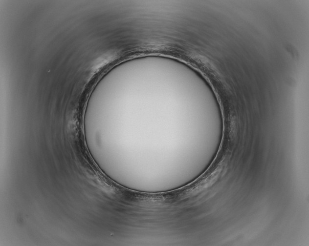 X0000111451210200907271223