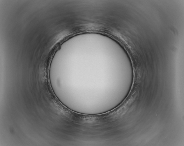 X0000111451211200907271223
