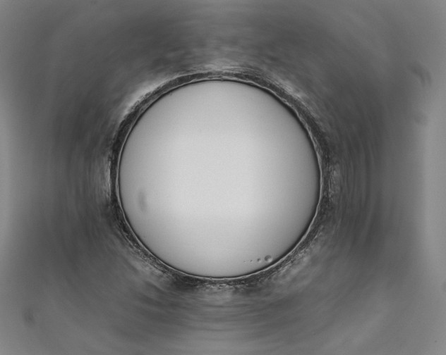 X0000111451214200907271224