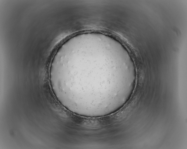 X0000111451215200907271224