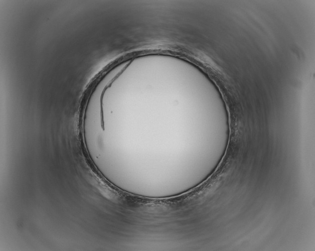 X0000111451216200907271224