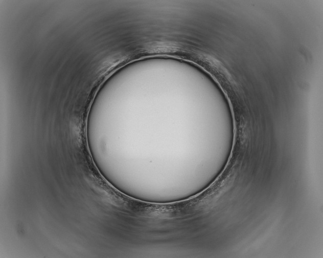 X0000111451217200907271224