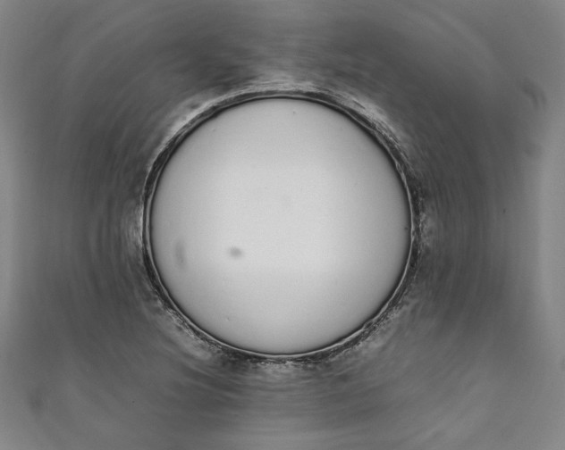 X0000111451220200907271224