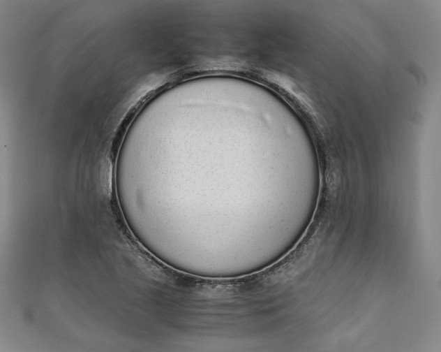 X0000111451221200907271224