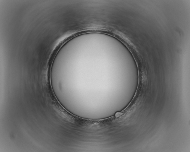 X0000111451222200907271224