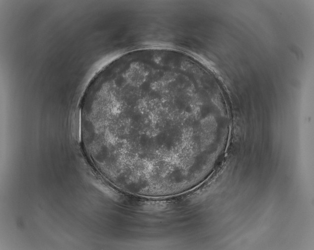 X0000111451223200907271224