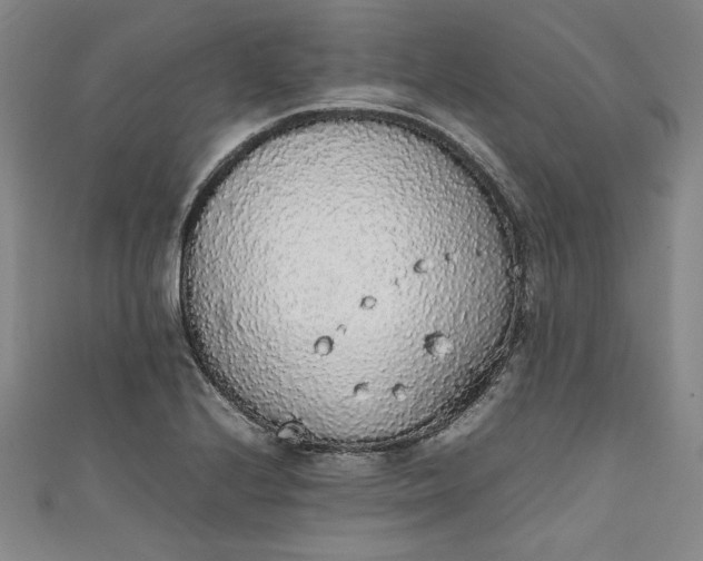 X0000111451224200907271224