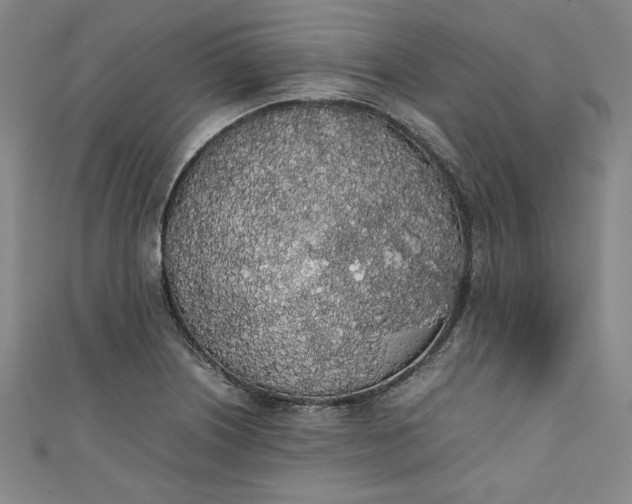 X0000111451226200907271224