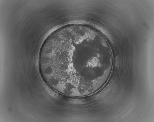 X0000111451229200907271224