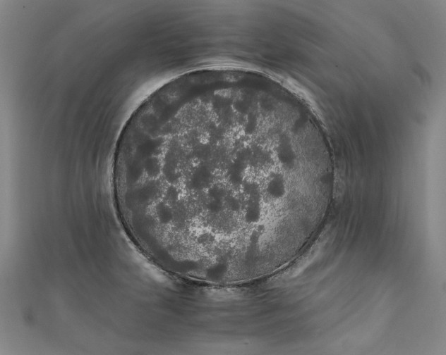 X0000111451231200907271224