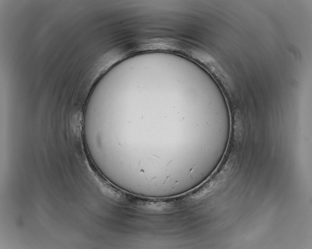 X0000111451233200907271224