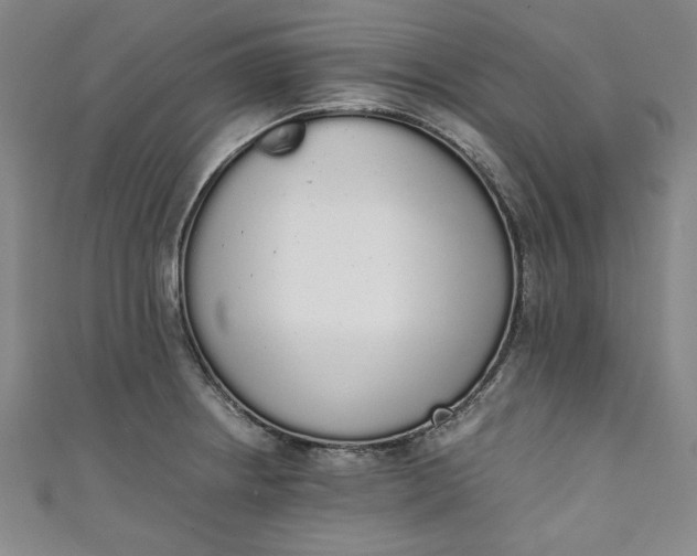 X0000111451234200907271224