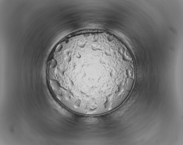 X0000111451235200907271224